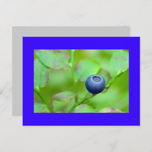 Carte Postale un bleuet (Devant / Derrière)