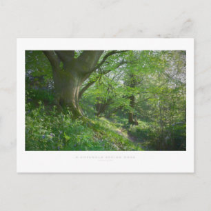 Carte Postale Un bois de printemps cotswold