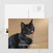 Carte Postale Un Bon Lick Painterly Penser De Vous (Devant / Derrière)