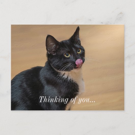 Carte Postale Un Bon Lick Painterly Penser De Vous (Devant)