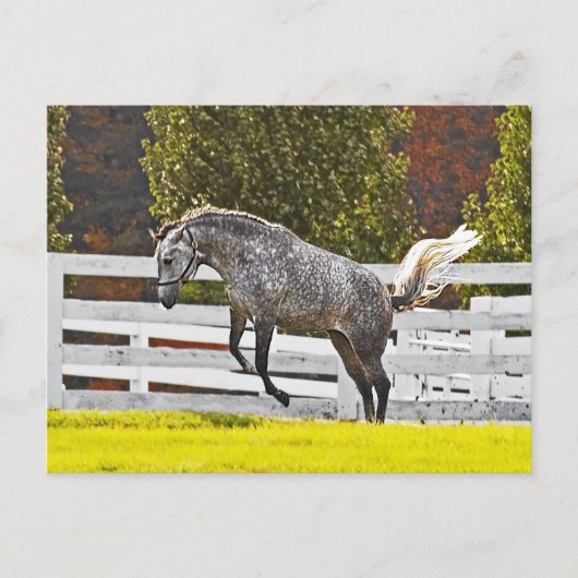 Carte Postale Un bond joyeux (Devant)