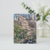 Carte Postale Un bonheur d'automne... (Debout devant)