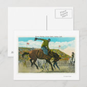 Carte Postale Un bouclier au Rodéo annuel de Salinas (Devant / Derrière)