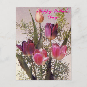 Carte Postale Un bouquet de tulipes roses de différentes teintes