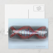 Carte Postale Un brin d'ADN dans une capsule (Devant / Derrière)