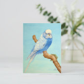 Carte Postale Un Budgie perché sur une branche (Debout devant)