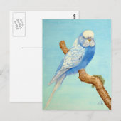 Carte Postale Un Budgie perché sur une branche (Devant / Derrière)