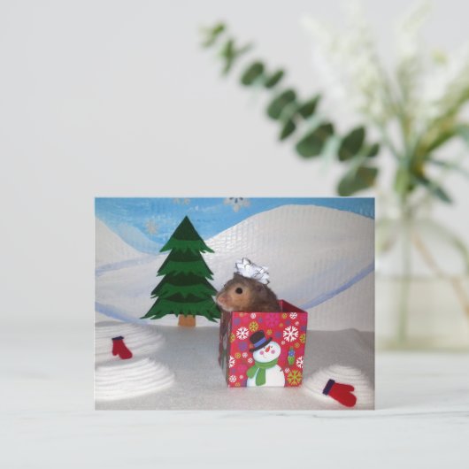 Carte Postale Un cadeau d'élevage de hamsters ! (Debout devant)