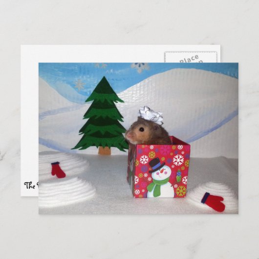 Carte Postale Un cadeau d'élevage de hamsters ! (Devant / Derrière)