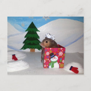 Carte Postale Un cadeau d'élevage de hamsters !