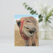 Carte Postale Un Camel Gai (Debout devant)