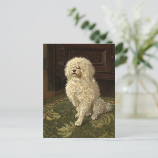 Carte Postale Un caniche sur une moquette verte | George L. Harr (Debout devant)