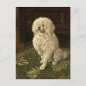 Carte Postale Un caniche sur une moquette verte | George L. Harr (Devant)