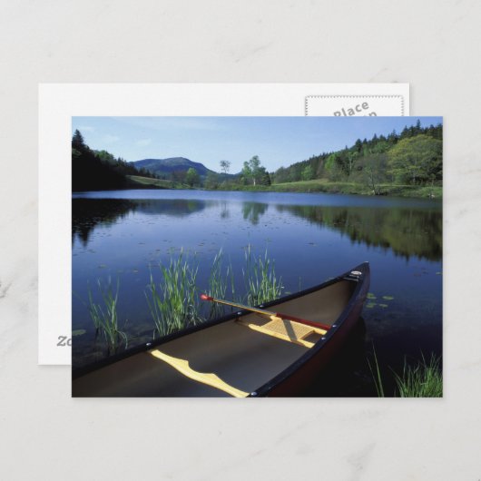 Carte Postale Un canoë repose sur la rive du Little Long Pond (Devant / Derrière)