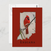 Carte Postale Un cardinal dans la forme de l'Indiana (Devant / Derrière)