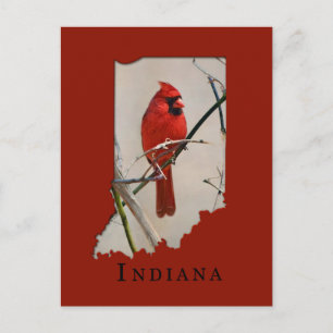 Carte Postale Un cardinal dans la forme de l'Indiana