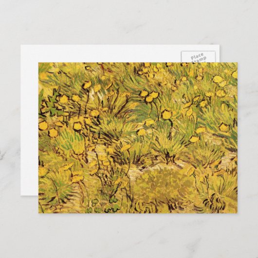 Carte Postale Un champ de fleurs jaunes par Vincent van Gogh (Devant / Derrière)