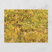 Carte Postale Un champ de fleurs jaunes par Vincent van Gogh (Devant)