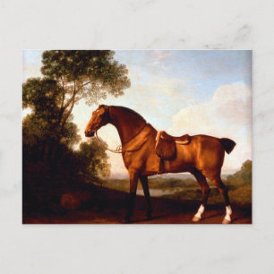 Carte Postale Un chasseur de la baie selle par George Stubbs