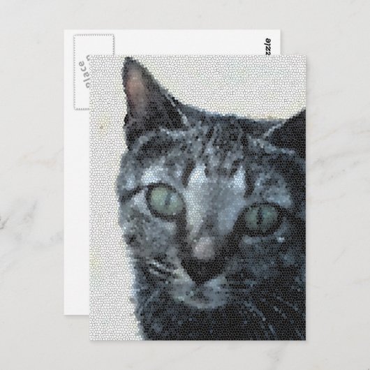 Carte Postale Un chat à travers les yeux d'une libellule. (Devant / Derrière)
