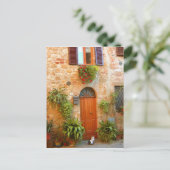 Carte Postale Un chat cherche à entrer chez lui à Pienza, en Ita (Debout devant)