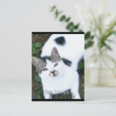 Carte Postale Un chat Cool (fille) (Debout devant)