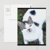 Carte Postale Un chat Cool (fille) (Devant / Derrière)