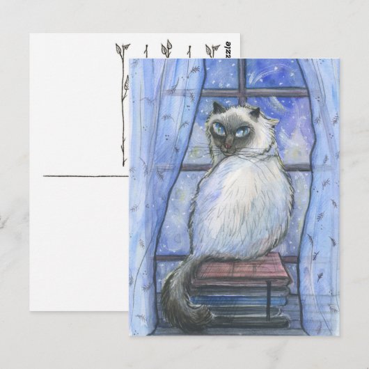 Carte Postale Un chat d'hiver. (Devant / Derrière)