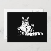 Carte Postale Un chat grincheux et drôle (Devant / Derrière)