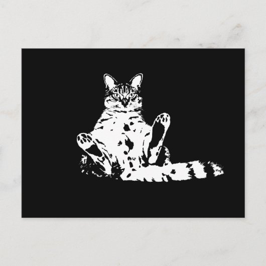 Carte Postale Un chat grincheux et drôle (Devant)