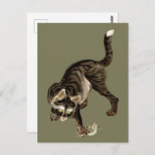 Carte Postale Un chat japonais attrape une grenouille (Devant / Derrière)