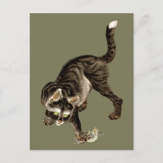 Carte Postale Un chat japonais attrape une grenouille (Devant)