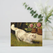 Carte Postale Un chat perse blanc regarde une coccinelle (Debout devant)