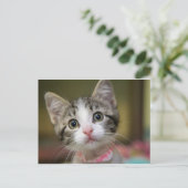 Carte Postale Un chaton mignon aux yeux verts (Debout devant)