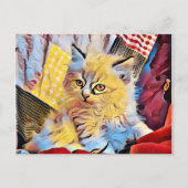 Carte Postale Un chaton Ragdoll (Devant)