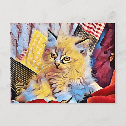 Carte Postale Un chaton Ragdoll (Devant)