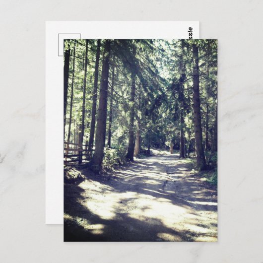 Carte Postale Un chemin à travers la forêt (Devant / Derrière)