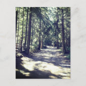 Carte Postale Un chemin à travers la forêt (Devant)