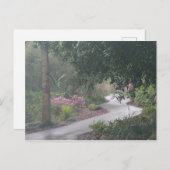 Carte Postale Un chemin d'Azalea (Devant / Derrière)