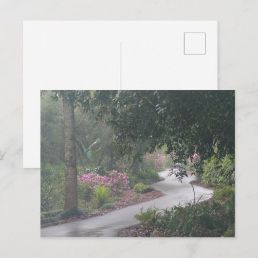 Carte Postale Un chemin d'Azalea (Devant / Derrière)