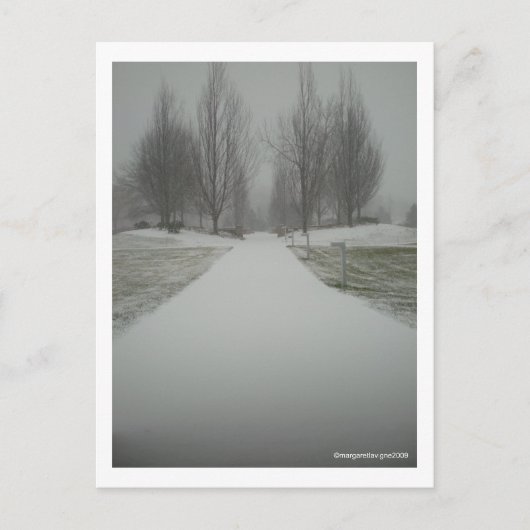 Carte Postale Un chemin d'hiver.... (Devant)