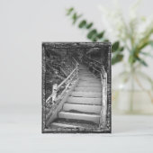 Carte Postale Un chemin sombre (Debout devant)