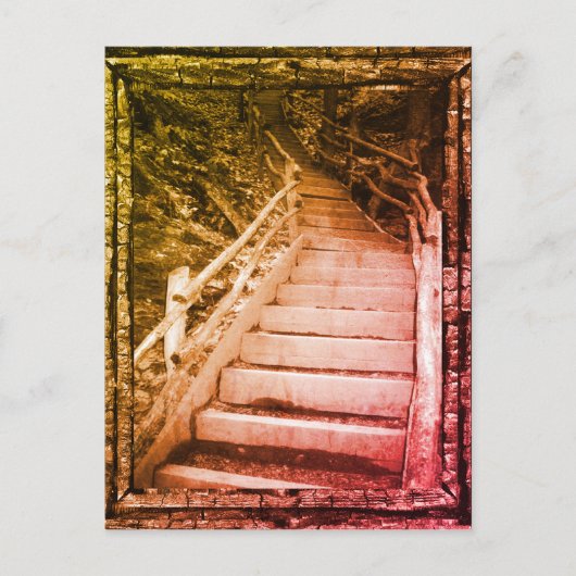 Carte Postale Un chemin sombre (Devant)