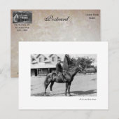 Carte Postale un cheval (Devant / Derrière)