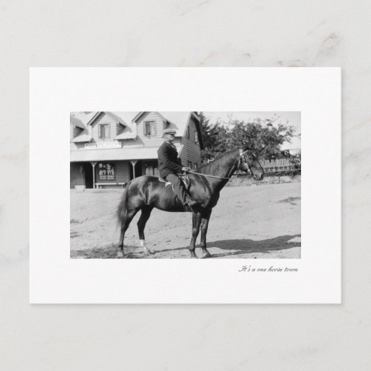 Carte Postale un cheval (Devant)