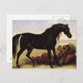 Carte Postale Un cheval arabe (Devant / Derrière)
