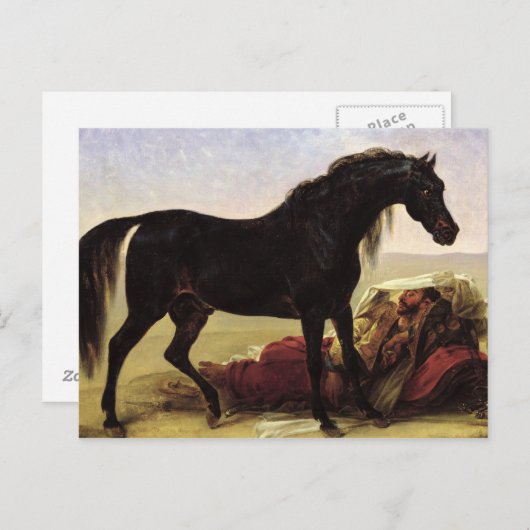 Carte Postale Un cheval arabe (Devant / Derrière)