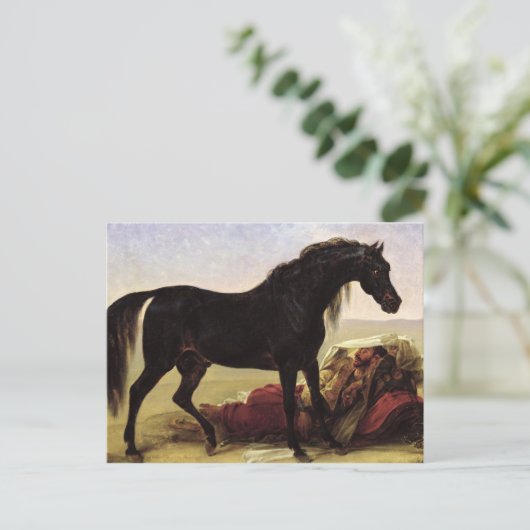 Carte Postale Un cheval arabe (Debout devant)