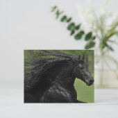 Carte Postale Un Cheval Est Un Cheval #1" (Debout devant)