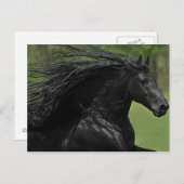 Carte Postale Un Cheval Est Un Cheval #1" (Devant / Derrière)